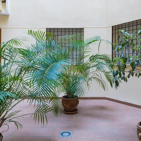 Suncity Pena Málaga